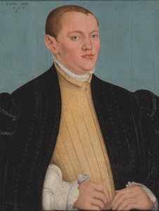 Portrait of a Young Man by Lucas Cranach the Younger