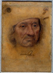 Portrait of Doctor Petrus von Clapis by Lucas the Elder Cranach