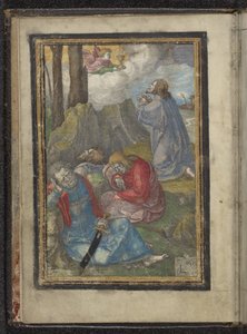 Christ in the Garden of Gethsemane Passion of Christ by Lucas van Leyden
