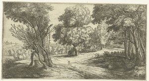 Forest Landscape by Lucas van Uden