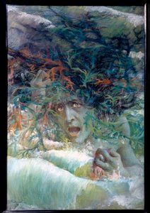 The Meduse or Furious Wave