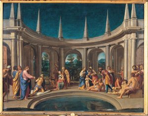 The Probatic Pool by Lucio massari