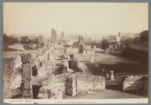 Ruins of the Imperial Palaces on the Palatine Hill in Rome by Ludovico Tuminello