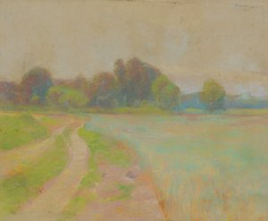 Road by a Field