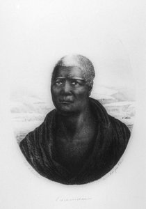Kamehameha I, Hawaii