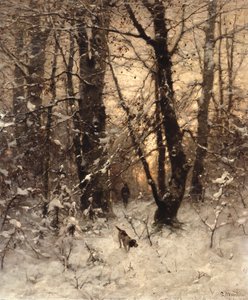 Winter Twilight
