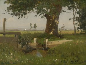 Summery Meadow Landscape in Carinthia by Ludwig Willroider
