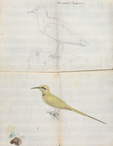 2 Birds Aroust el Bahar