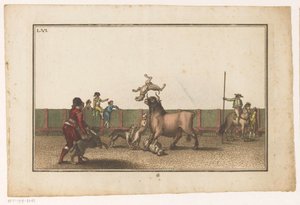 Bull Attacked by Dogs (Collection of the Main Maneuvers in a Bullfight)