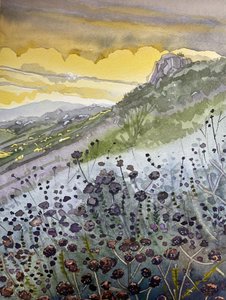 Mountain Sunset Wildflowers by Luisa Millicent