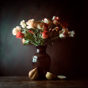 Moody Roses and Pears by Luiz Laercio