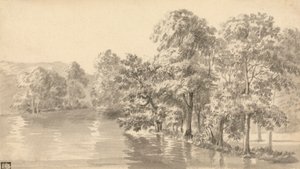 Trees by a Lake