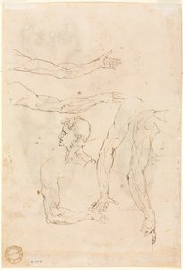 Sketches of Five Arms and a Head (verso) by Luzio Romano