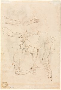 Sketches of Five Arms and a Head Verso, mid 1500s by Luzio Romano