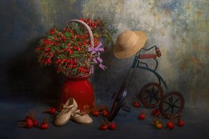 Autumn Rose Hips and Tricycle