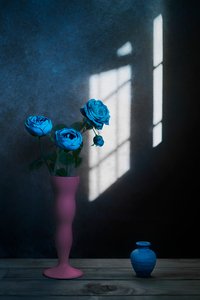 Blue Roses Window Light