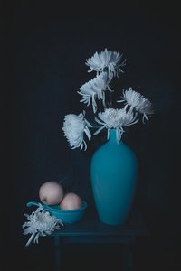 Calm Teal Still Life
