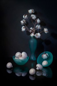 Cotton and Mushroom Still Life by Lydia Jacobs