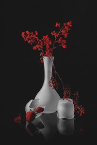 Dark Romantic Still Life