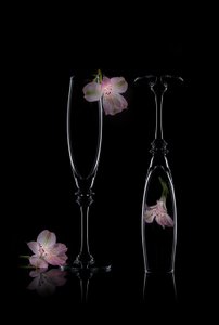Delicate Floral Elegance
