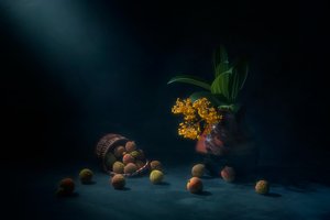 Dramatic Lychee Still Life