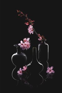 Elegant Blossom Vases by Lydia Jacobs