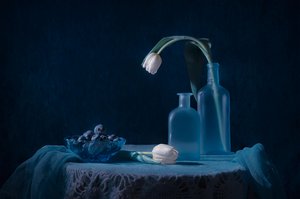 Elegant Blue Still Life
