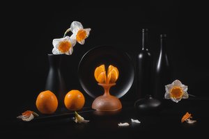 Elegant Citrus Still Life
