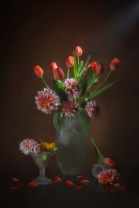 Elegant Floral Still Life