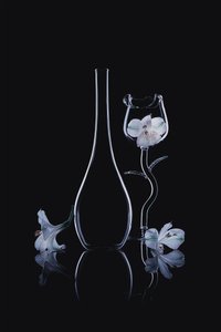 Elegant Glass Orchids by Lydia Jacobs