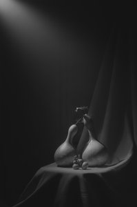 Elegant Gourd Still Life