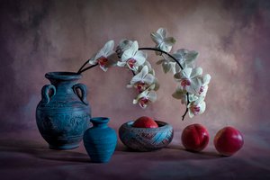 Elegant Orchid Still Life
