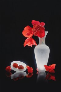 Elegant Red Still Life by Lydia Jacobs