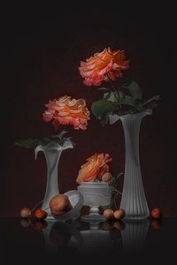 Elegant Rose Still Life