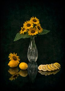 Elegant Sunflower Still Life