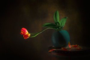 Graceful Tulips Still Life by Lydia Jacobs