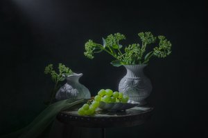 Green Grapes Still Life