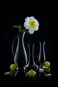 Luminous Rose and Vases