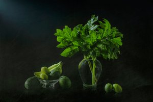 Lush Botanical Still Life