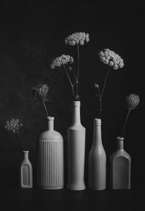 Monochrome Botanical Still Life
