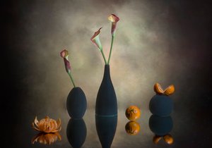 Moody Calla Lilies Oranges