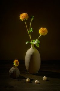 Moody Floral Still Life