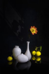 Moody Flower and Fruit