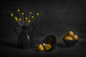 Moody Golden Kiwi and Flowers