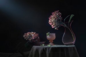 Moody Hydrangea Still Life