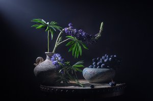 Moody Lupines and Berries