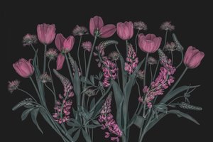 Moody Pink Blooms