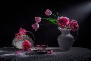 Moody Pink Tulips