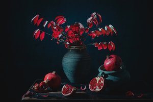 Moody Red Pomegranate Still Life by Lydia Jacobs