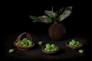 Moody Sprouts Still Life